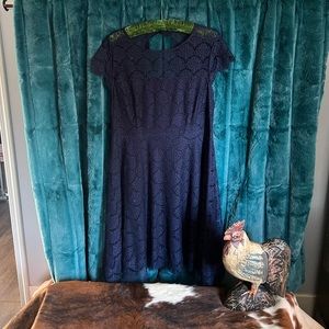 Kensie Blue Lace Dress 💙